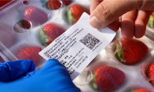 内蒙古全面推行承诺达标合格证制度—  小小证件筑牢农产品质量安全防线